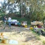 Saturday Farmer's Market near Catania Sicily
