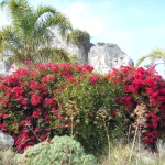 Sicily