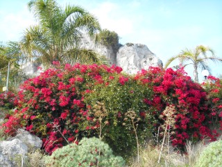 Sicily