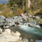 Alcantara Gorge