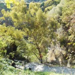 Alcantara Gorge