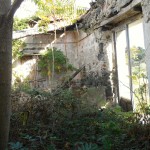 The yard on the house I walked in