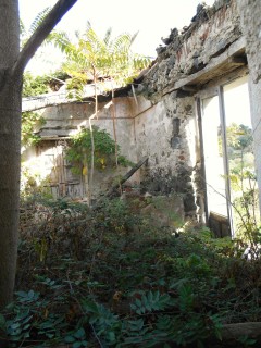 The yard on the house I walked in