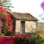 My favorite: flowers and old stone houses