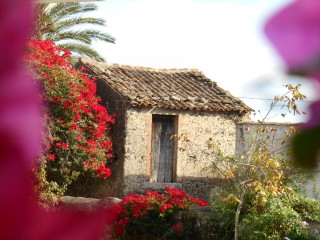 My favorite: flowers and old stone houses