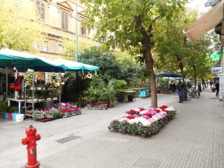 Palermo