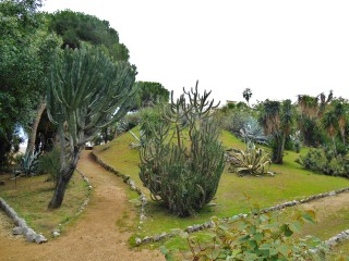 Palermo Park