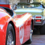 Orlando fall festivals