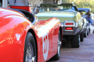 Orlando fall festivals